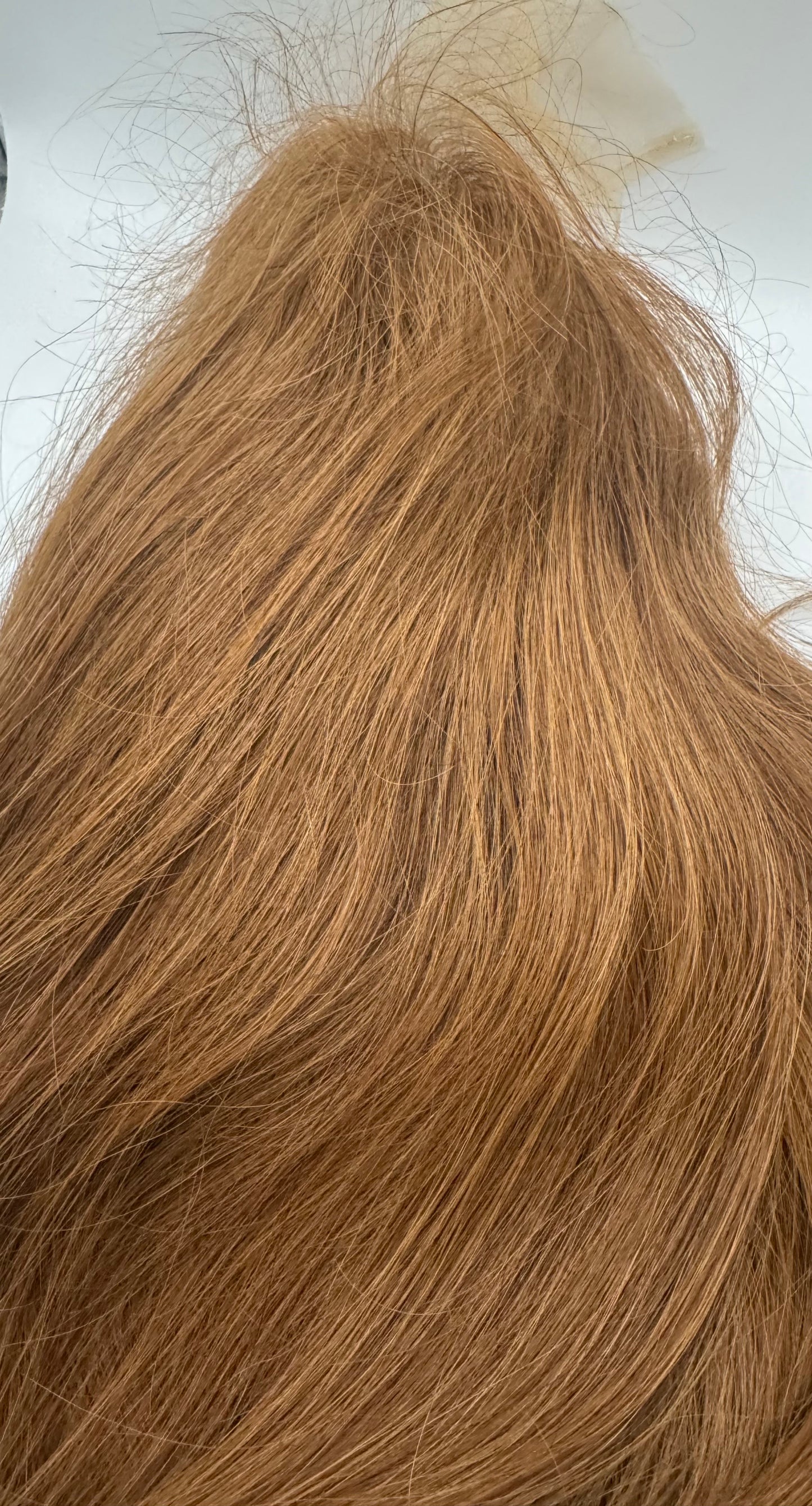 Casandra 22 inch human hair lace & open weft