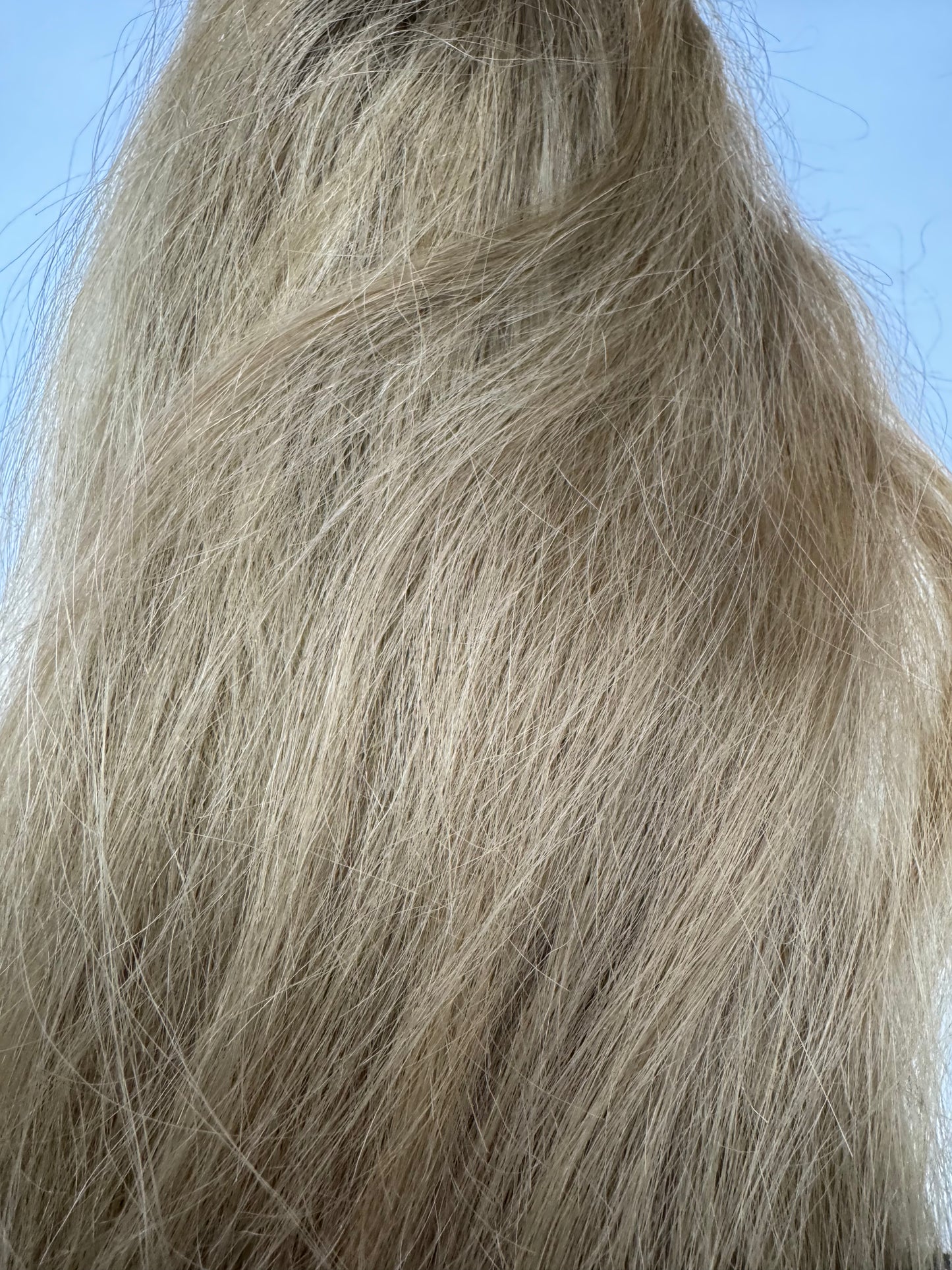 Ava - full human hair topper