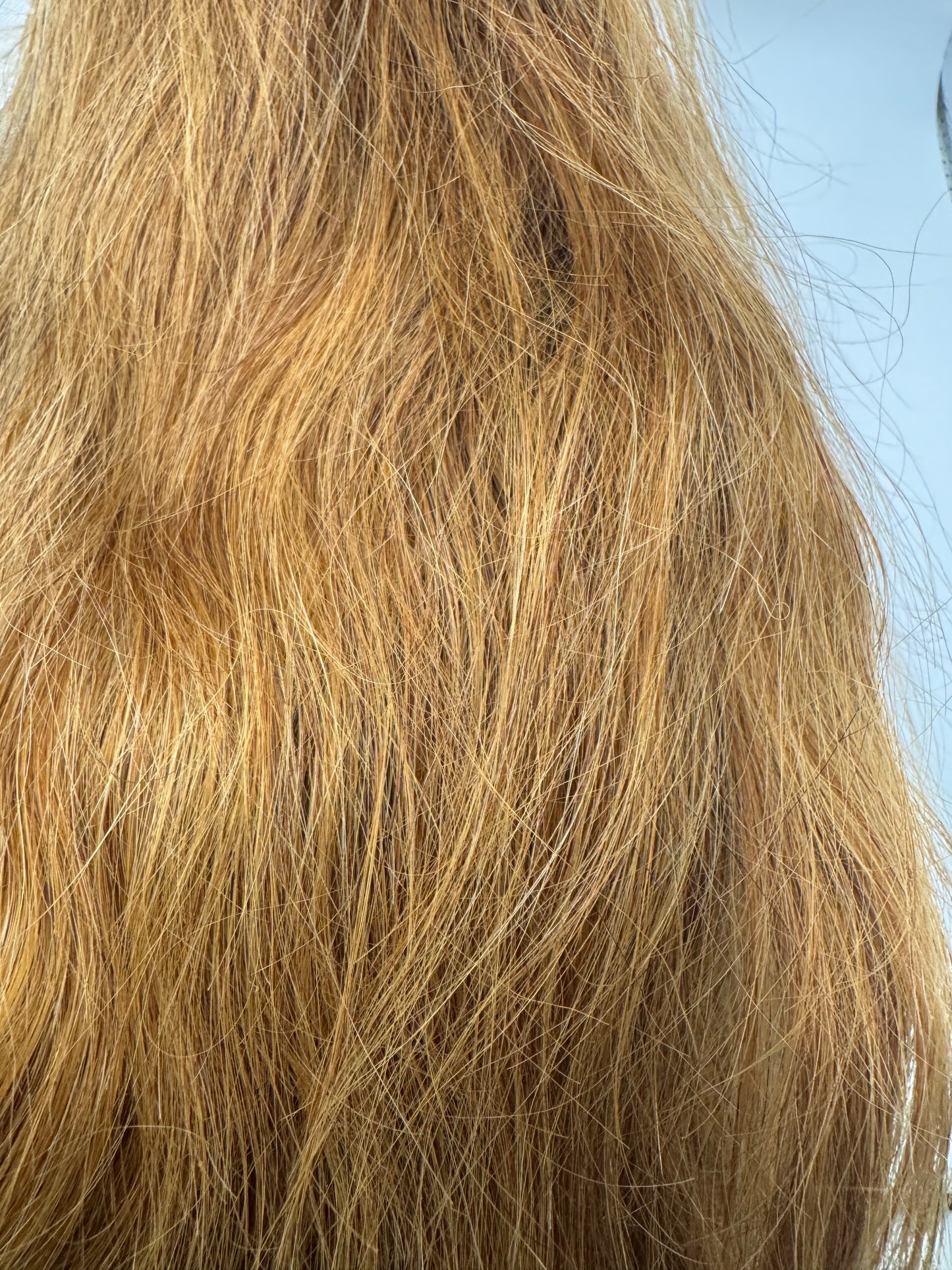 Faith 12 inch AAA human hair